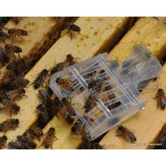 EJ.life pince pour attrape-insectes pour abeilles 3 pièces ciseaux Type  abeille reine attrape plastique polyvalent insecte