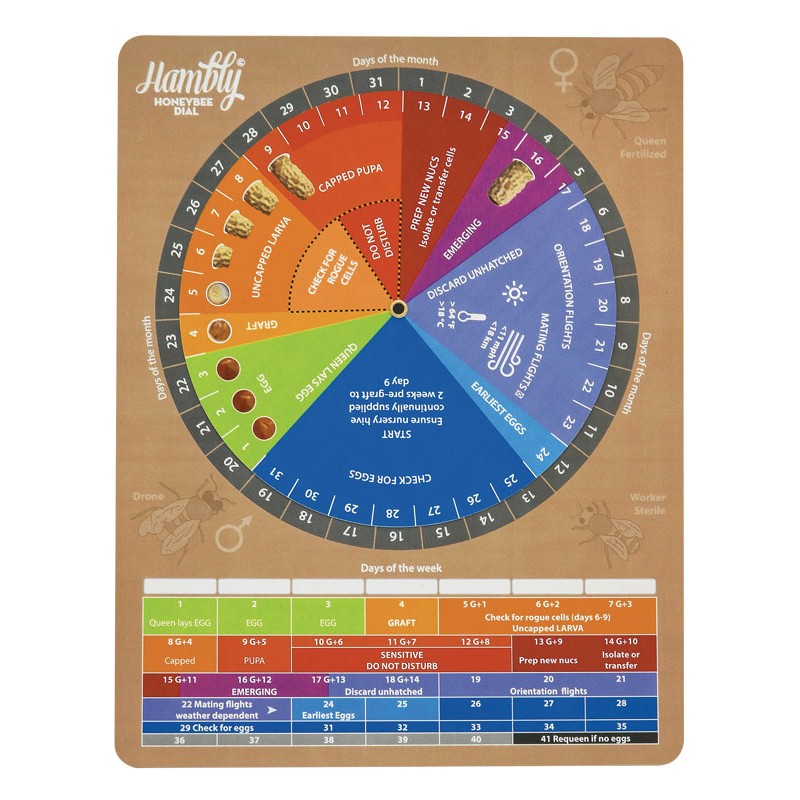 Calendrier Hambly Queen pour élevage des reines Elevage des reines