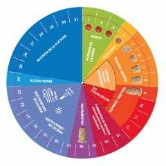 Calendrier Hambly Queen pour élevage des reines Elevage des reines