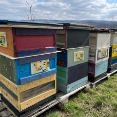 Stock-Karte® Bienenstock-Überwachungssystem mit Pins