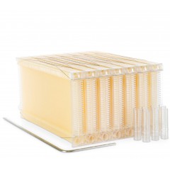 Arnia Completa Honey Flow® Hive Classic