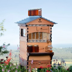 Set of 7 Flow® Hive Frames Special Hives