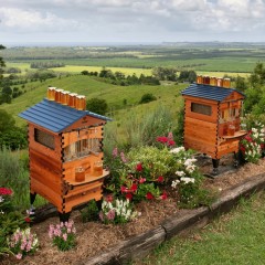 Flow Hive 2+ complete with 7 Flow frames Special Hives