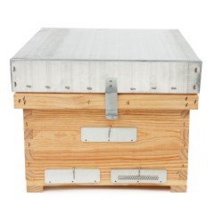 Langstroth Beehive (only one brood body) Langstroth Beehives