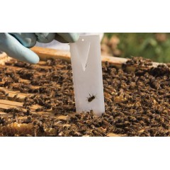 APIVAR® varroa (5 colmenas) Tratamientos varroa (con receta)