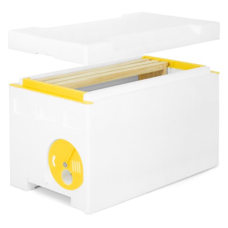 Langstroth P-hive®