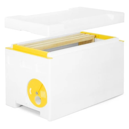 Núcleo 6 cuadros Langstroth P-Hive® Núcleos Langstroth