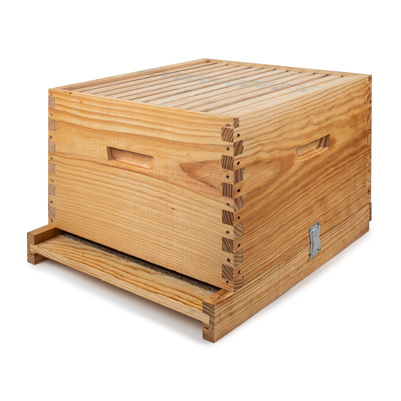 Buy 12 frames Dadant Blatt hive with frames and super - Dadant Blatt