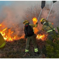 Abafador de Fogo com Cabo Telescópico para Apicultores