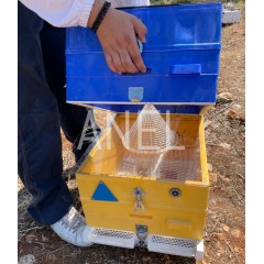 ANEL Funnel Trap for Vespa Velutina and Vespa Orientalis Fight against the wasp