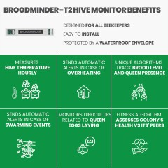 BroodMinder-T2 Brood Sensor Apiary monitoring and security