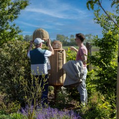 HIIVE Natürlicher Bienenstock für Gesunde Bienen