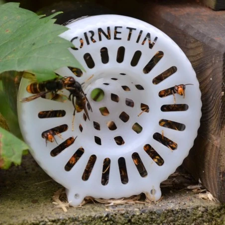 Ornetin® Selective Trap for Asian Hornet Fight against the wasp