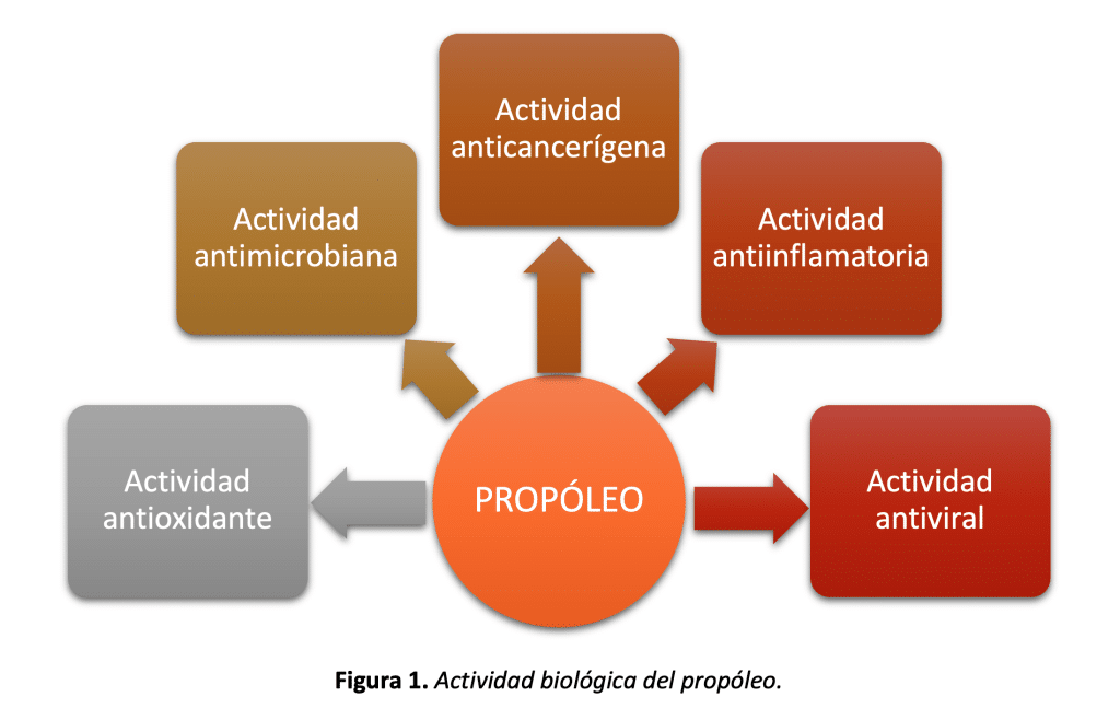 El Propóleo y sus propiedades saludables - Sin categorizar