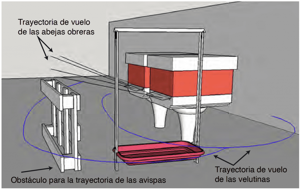 Arpa eléctrica y otras trampas contra la Velutina - MANEJO