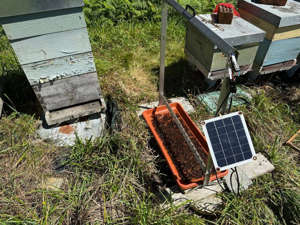 Arpa eléctrica y otras trampas contra la Velutina - MANEJO