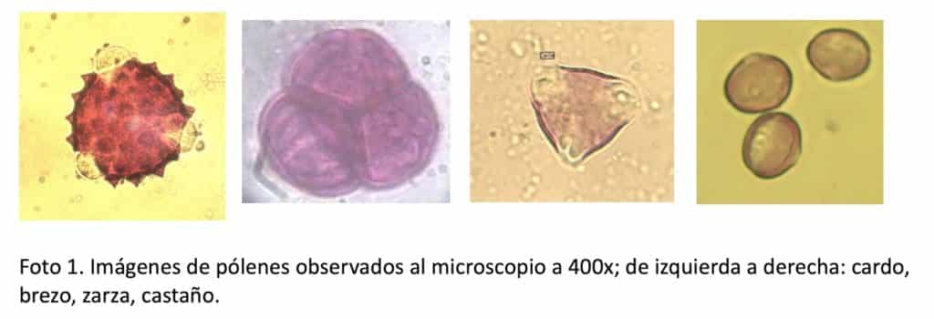 ¿Para qué se hacen los análisis polínicos de la miel? - MANEJO