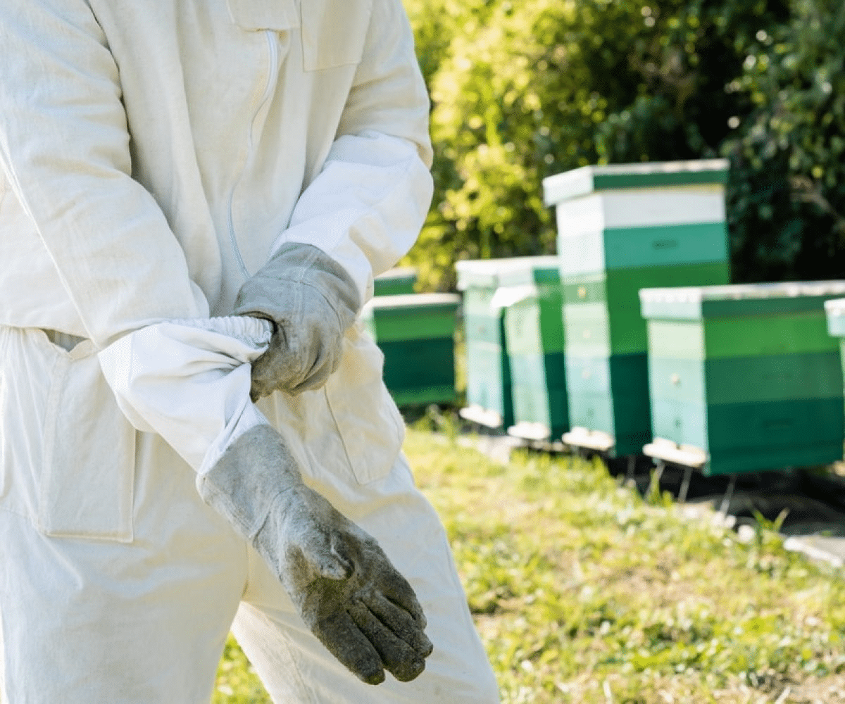 Les protections en apiculture : tout ce que vous devez savoir sur les combinaisons d'apiculteur - ÉQUIPEMENTS & MATÉRIEL