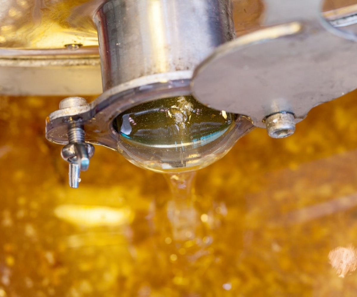 Close up picture of fresh dripping organic honey