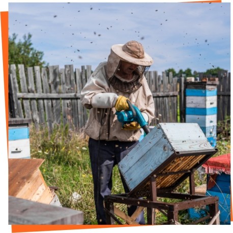 Bee Blowers - Remove the bees easily from the beehive