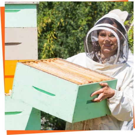 ≫ Ruches - Sélection de ruches pour vos abeilles